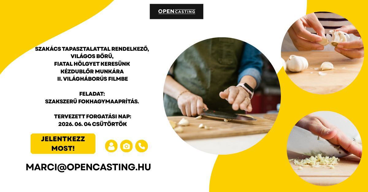 SZAKÁCS TAPASZTALAT
